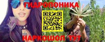 шишки Волжск