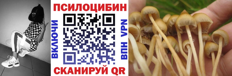 Галлюциногенные грибы Psilocybe закладка Глазов