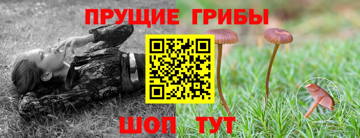 Галлюциногенные грибы Cubensis Глазов
