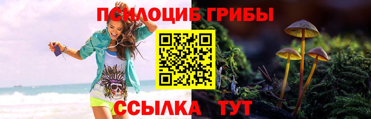 Галлюциногенные грибы Psilocybine cubensis  Вход с VPN  Глазов 