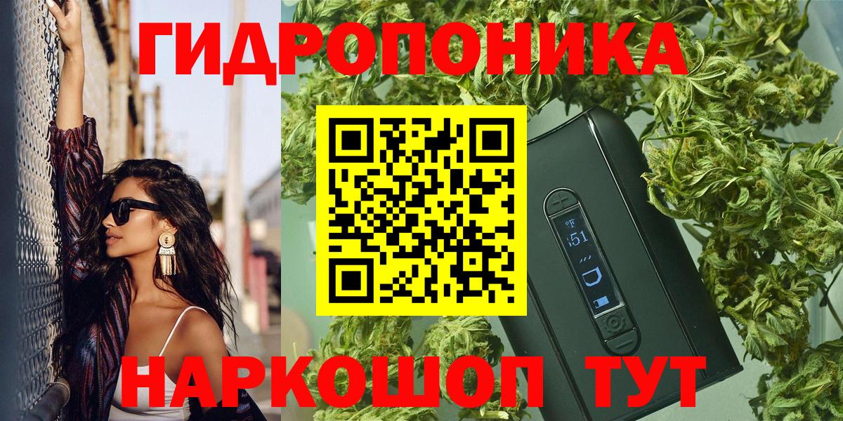 Бошки Шишки планчик  Каннабис Amnesia  Глазов  Вход с VPN  Шишки марихуана THC 21% 